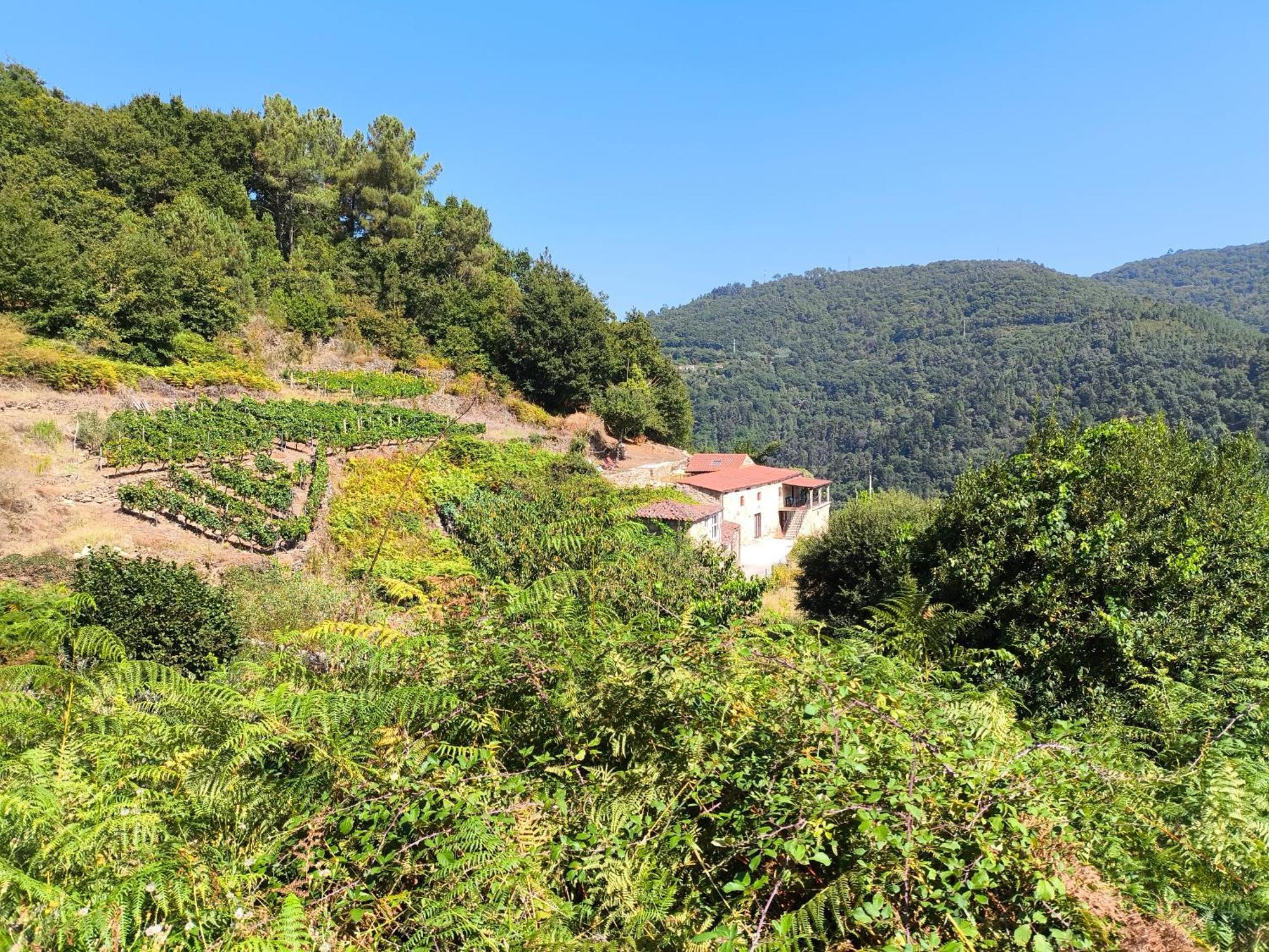 Villa Xiravai-Ribeira Sacra Peares Exterior foto